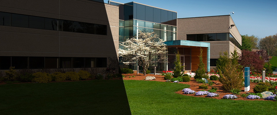 Roxbury Crossing Landscapers