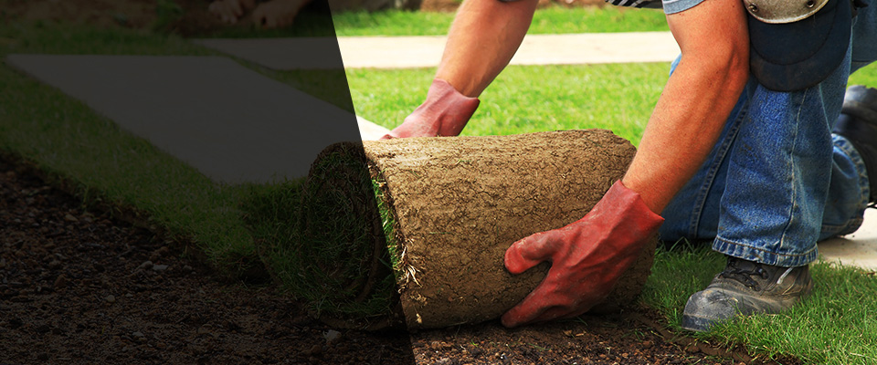 Roxbury Crossing Landscapers